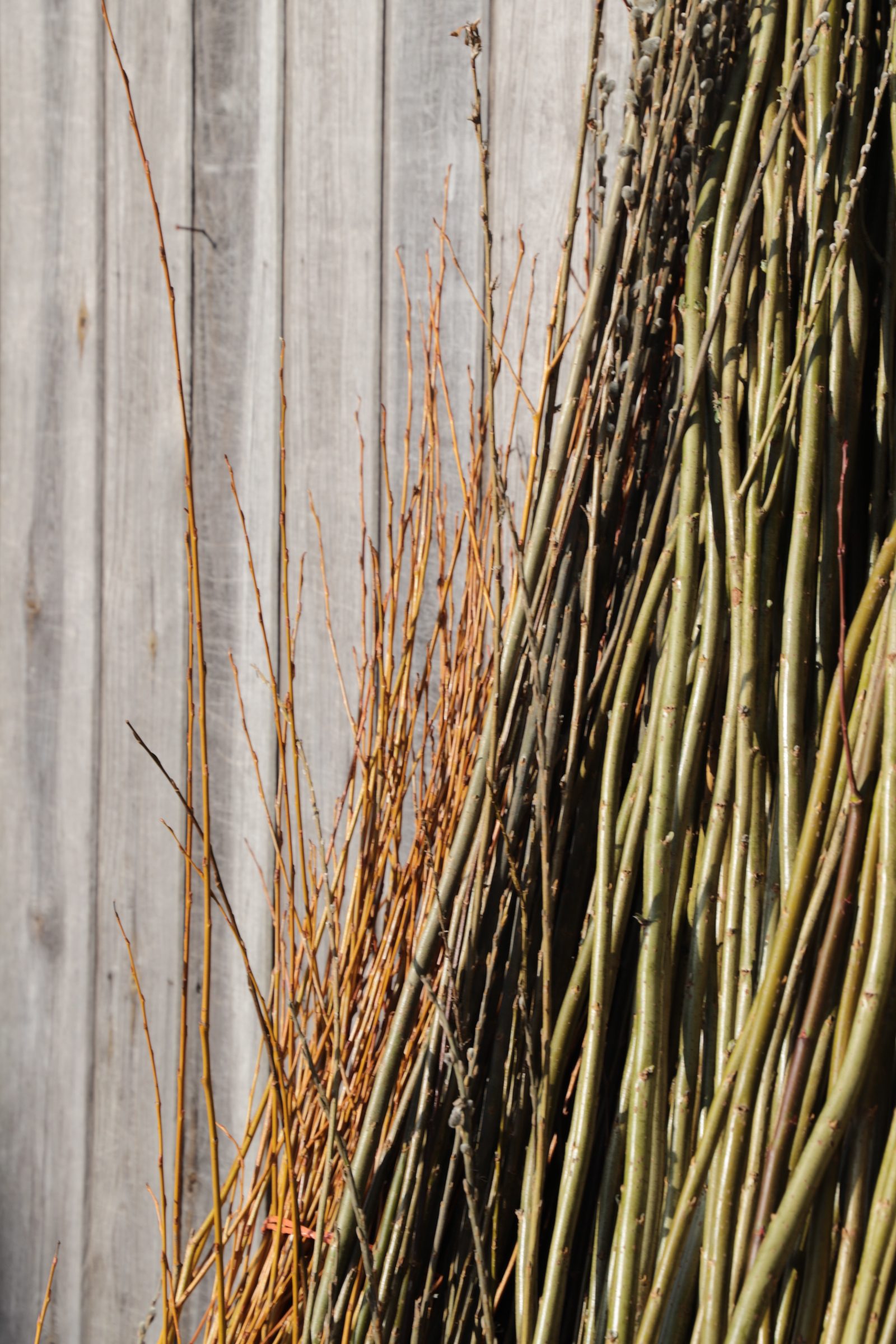 Willow against wood ready to be used in Vanessa Jayne Designs Chelsea Flower Show exhibition